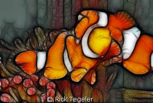 Nemo  Twins.  Clown Anemonefish... Walindi.  Enjoy! by Rick Tegeler 